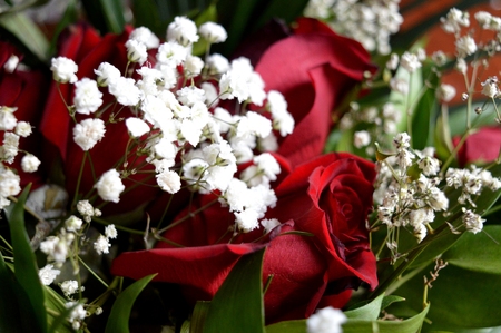 Beautiful red roses. A combination of beauty and subtle naturalnessの写真素材
