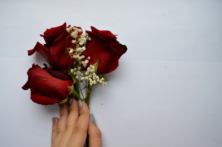 Beautiful red roses. A combination of beauty and subtle naturalnessの写真素材