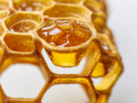 Close up view of the sweet honeycombs made from organic honey.の素材