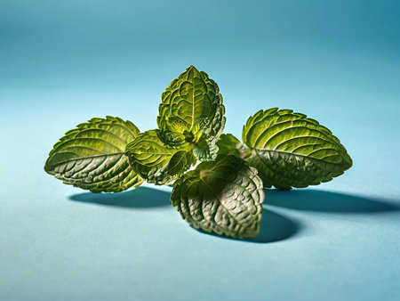 Bouquet of cherry blossoms in a vase on a blue backgroundの素材