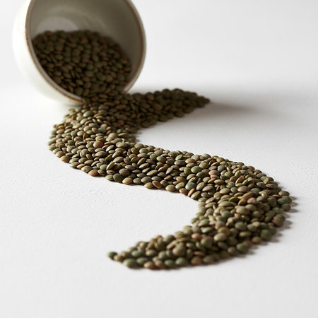 Green lentils in a white bowl on a white background. Close up.の素材