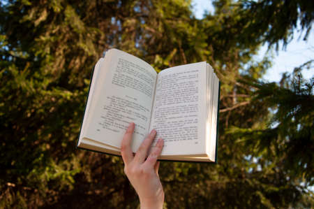 Woman hand holding book in the air in the evergreen forestの写真素材