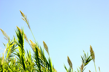 dialogue with windyの写真素材