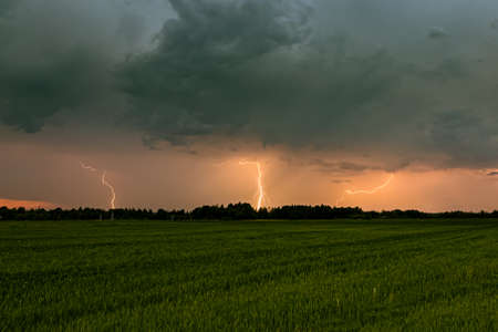 Late evening summer lightning storms with lightning bolts near horizonの写真素材