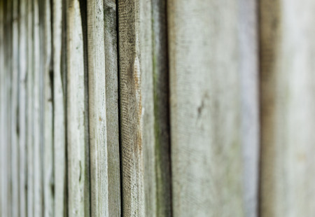 wood plank texture background