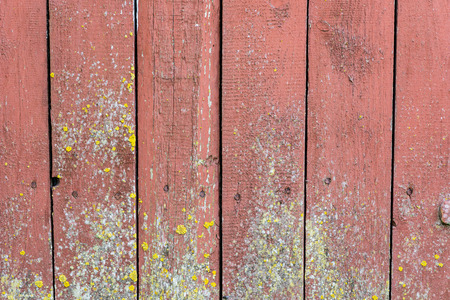 wood plank texture backgroundの写真素材