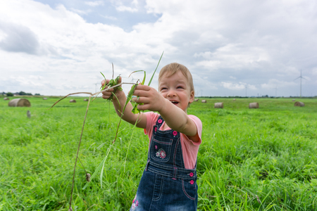 little girl child is standing in green field with hay rolls in front of wind turbine plant farmの写真素材