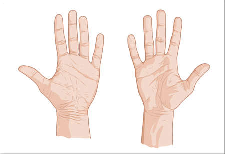 Two palms sketchのイラスト素材