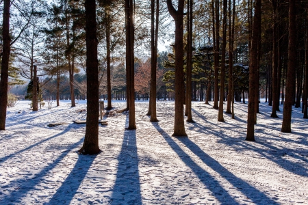 Snow Shadowの写真素材