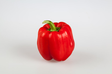 Tomatoの写真素材