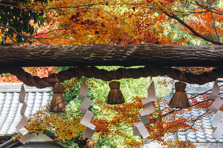 Arashiyama is a district on the western outskirts of Kyoto, Japan. It also refers to the mountain across the Oi River, which forms a backdrop to the district. Arashiyama is a nationally designated Historic Site and Place of Scenic Beauty.の写真素材