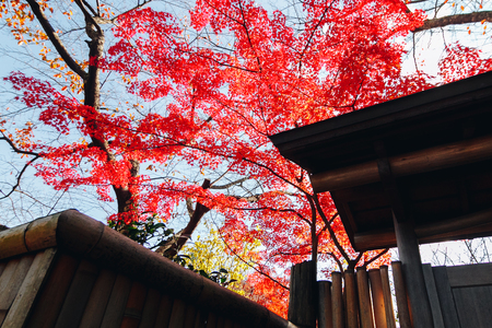 Arashiyama is a district on the western outskirts of Kyoto, Japan. It also refers to the mountain across the Oi River, which forms a backdrop to the district. Arashiyama is a nationally designated Historic Site and Place of Scenic Beauty.の写真素材