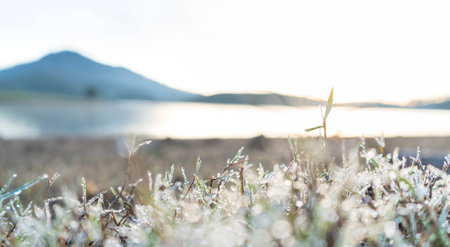 Pristine morning ice covering blades of grass by the lake with mountain behindの写真素材