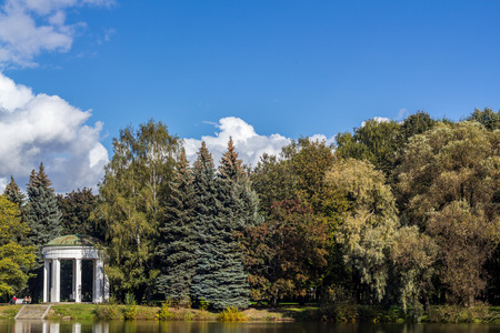 White gazebo on the background of trees