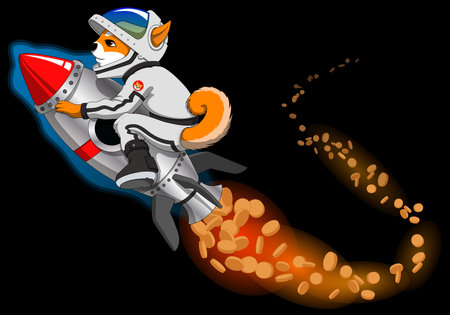 A cool Fox flying a Money Rocket in Spaceのイラスト素材