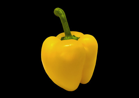 Big yellow bell pepper on a black backgroundの写真素材