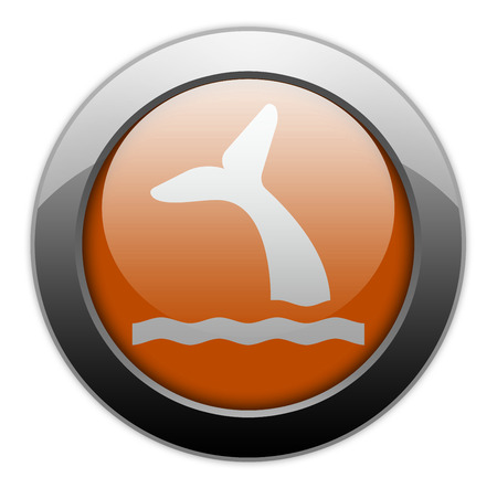 Icon, Button, Pictogram with Whale symbolの写真素材