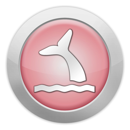 Icon, Button, Pictogram with Whale symbolの写真素材