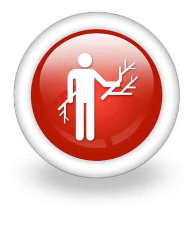 Icon, Button, Pictogram with Wood Gathering symbolの写真素材