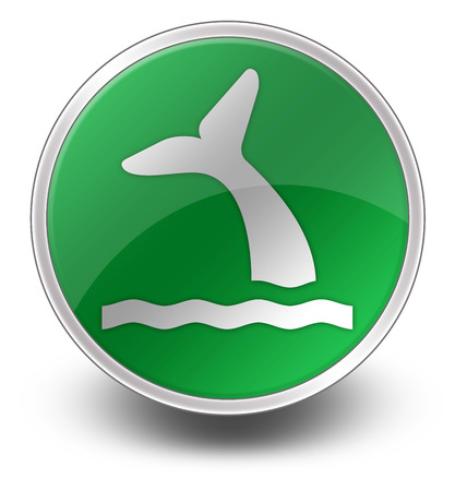 Icon, Button, Pictogram with Whale symbolの写真素材