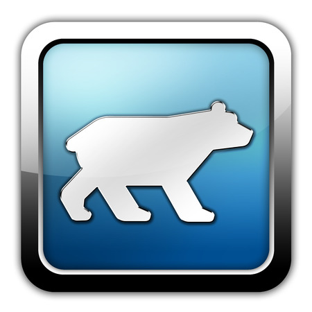 Icon, Button, Pictogram with Bear symbolの写真素材