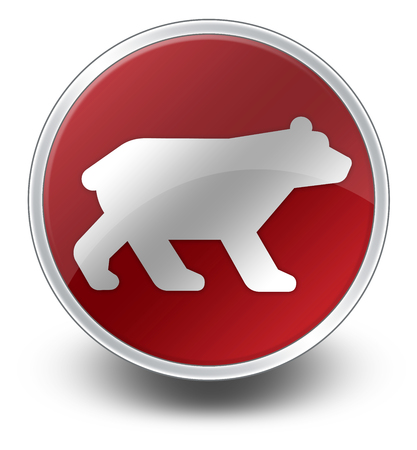 Icon, Button, Pictogram with Bear symbolの写真素材
