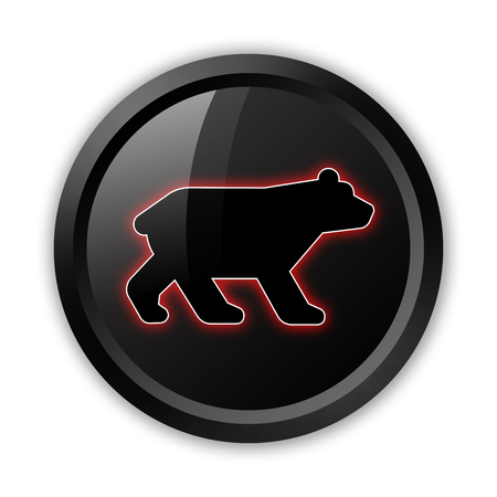 Icon, Button, Pictogram with Bear symbolの写真素材