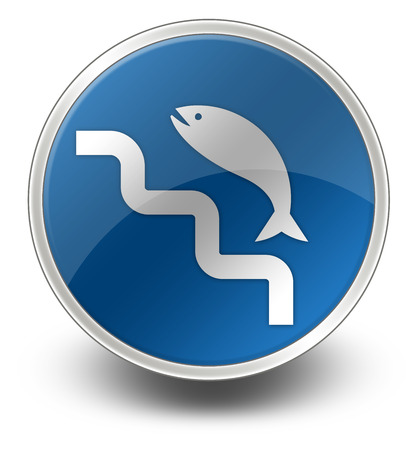 Icon, Button, Pictogram with Fish Ladder symbolの写真素材