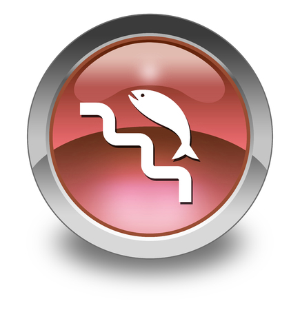 Icon, Button, Pictogram with Fish Ladder symbolの写真素材