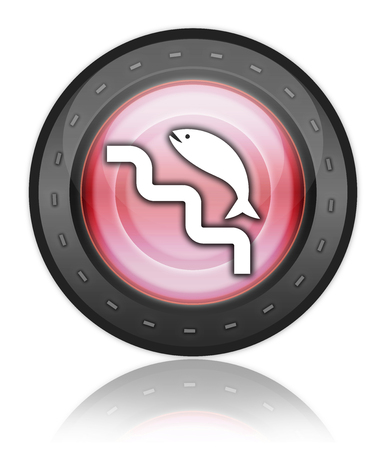 Icon, Button, Pictogram with Fish Ladder symbolの写真素材