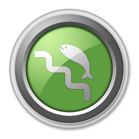 Icon, Button, Pictogram with Fish Ladder symbolの写真素材