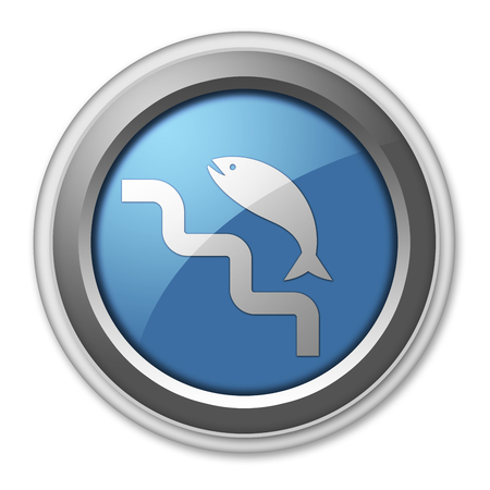 Icon, Button, Pictogram with Fish Ladder symbolの写真素材