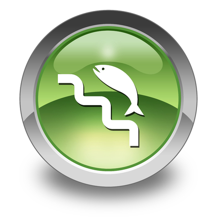 Icon, Button, Pictogram with Fish Ladder symbolの写真素材