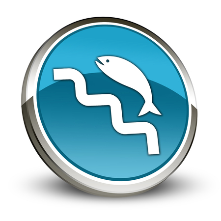 Icon, Button, Pictogram with Fish Ladder symbolの写真素材