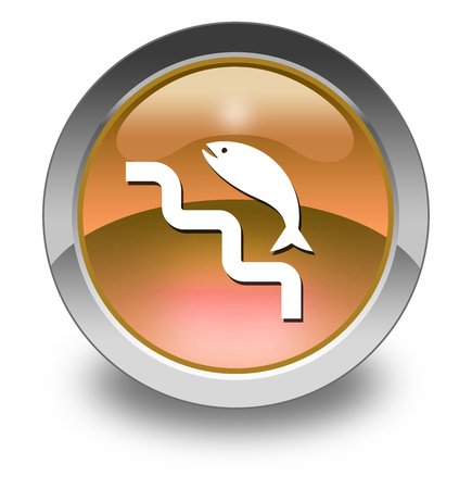 Icon, Button, Pictogram with Fish Ladder symbolの写真素材