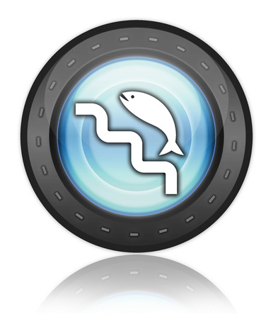 Icon, Button, Pictogram with Fish Ladder symbolの写真素材
