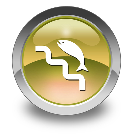 Icon, Button, Pictogram with Fish Ladder symbolの写真素材