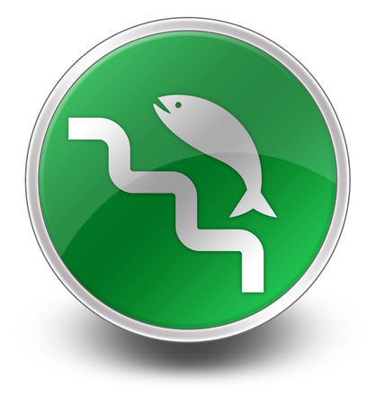 Icon, Button, Pictogram with Fish Ladder symbolの写真素材