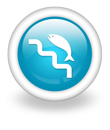 Icon, Button, Pictogram with Fish Ladder symbolの写真素材