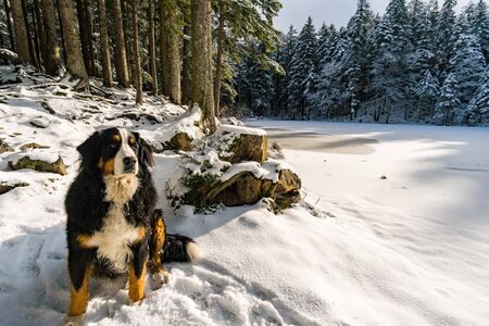 Wonderful winter hike from Restaurant Eggli over the Forstseeli and Diepoldsauer sponge to the...