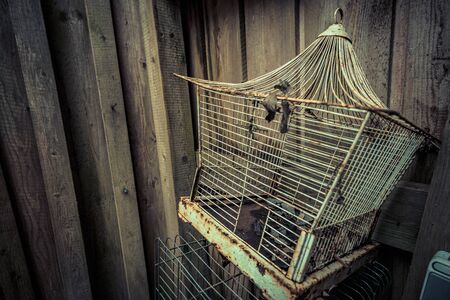 Abandoned places such as factories, farmhouses, shops, houses, facilities and clinics in Germanyの写真素材