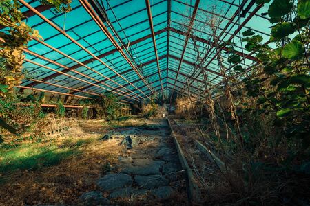 Abandoned places such as factories, farmhouses, shops, houses, facilities and clinics in Germanyの写真素材