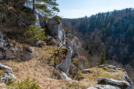 Spring hike in the beautiful Danube valley, along the Kallenberg castle ruins, to Bronnen Castle near Fridingen on the Danubeの写真素材