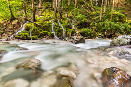 The wild and romantic magic forest near Ramsau near Berchtesgadenの写真素材