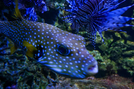Many beautiful wild animals in the Munich Zoo