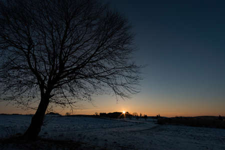 Impressions from a beautiful snowy winter wonderland forest with sun raysの写真素材