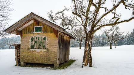The beautifully icy Scheidegger waterfalls with a hike in the areaの写真素材