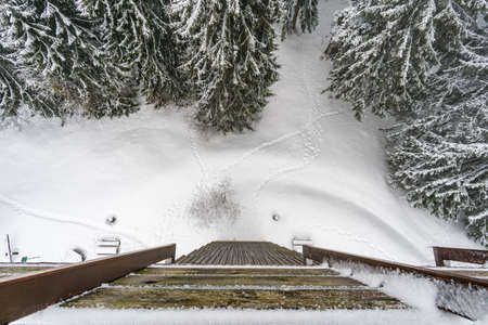 Snow shoe hike to the snow-covered Black Ridge near Isny in Allgau in winterの写真素材