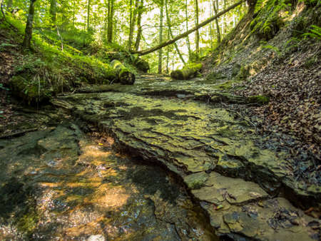 Hike through the Rohrbachtobel near Waltenhofen in the AllgÃ¤uの写真素材
