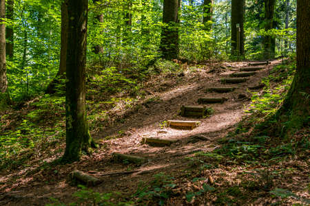 Fantastic hiking on northern Lake Constance with a wonderful viewの写真素材